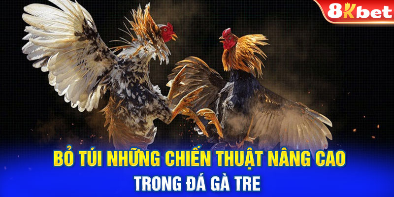 Bỏ túi những chiến thuật nâng cao trong đá gà tre