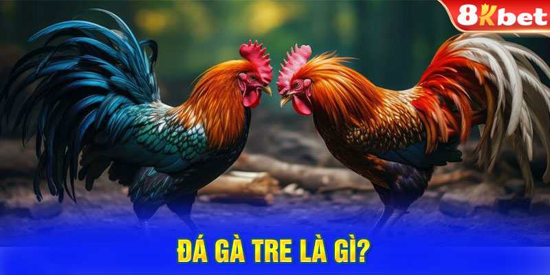 Đá gà tre là gì?